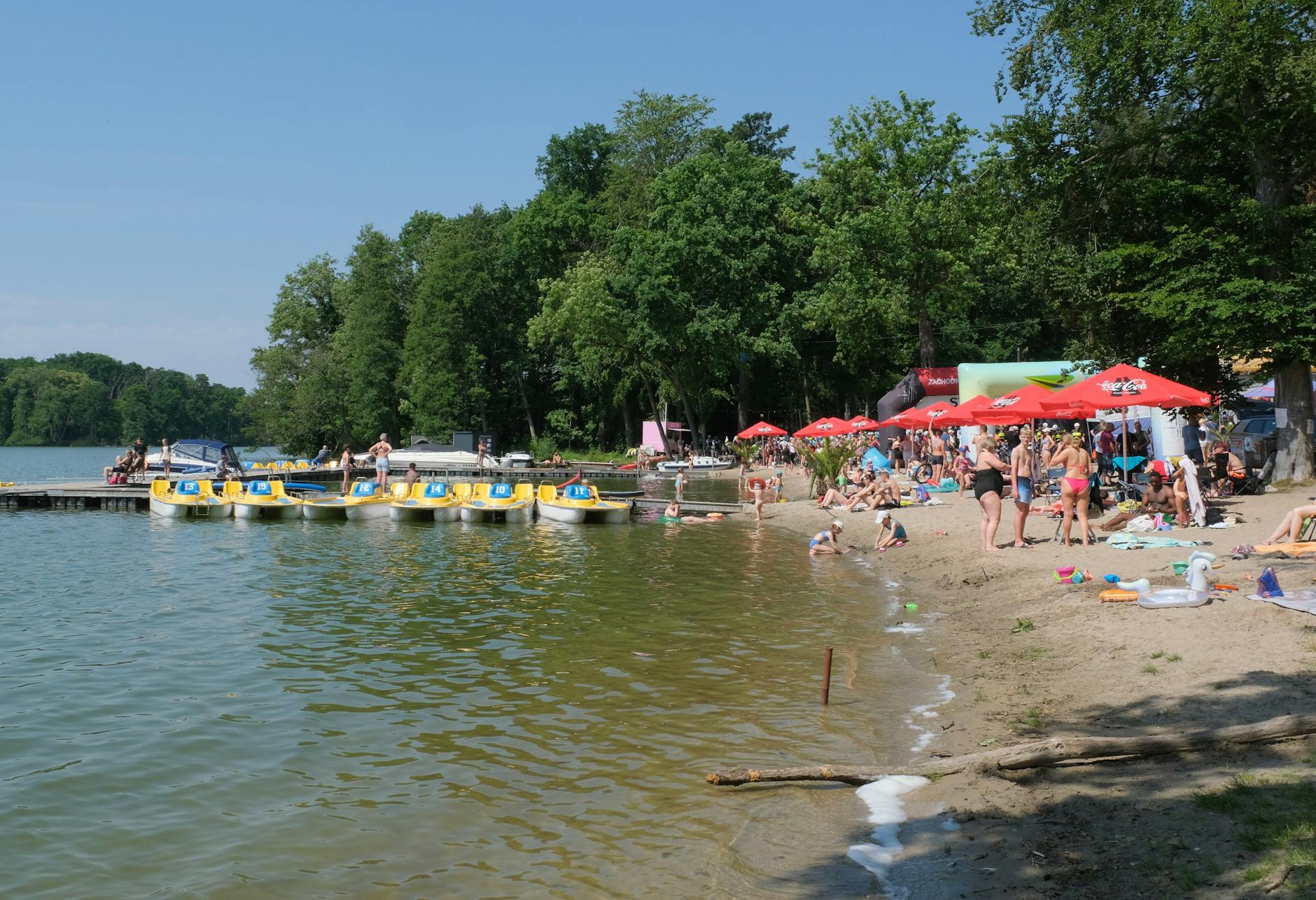 Ilustracja przedstawiająca zielone tereny miejskie i ludzi spędzających czas na świeżym powietrzu podczas majówki w Grajewie.